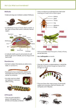 Science Course 2 Pages-12